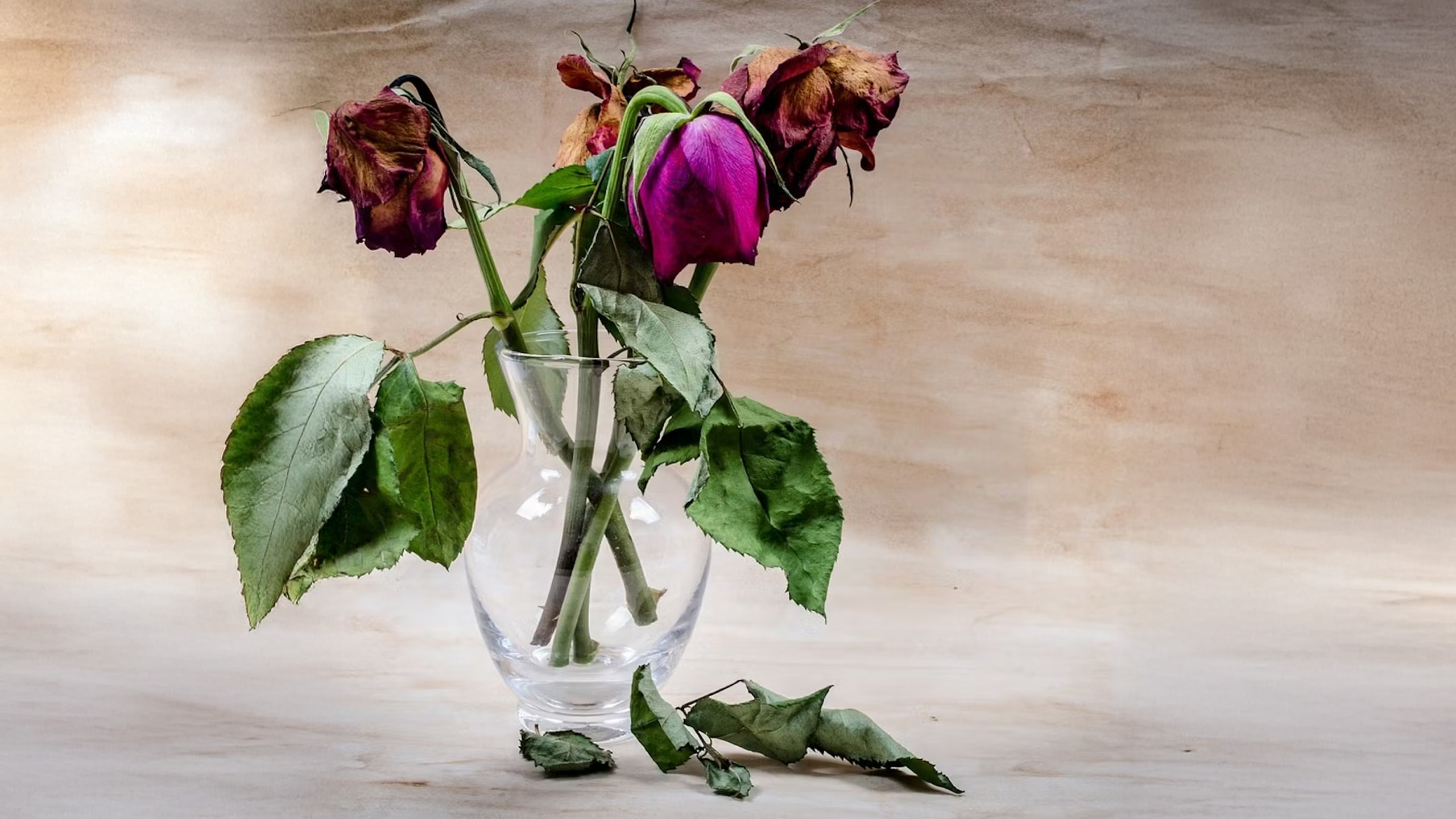 The Science to Stop Death