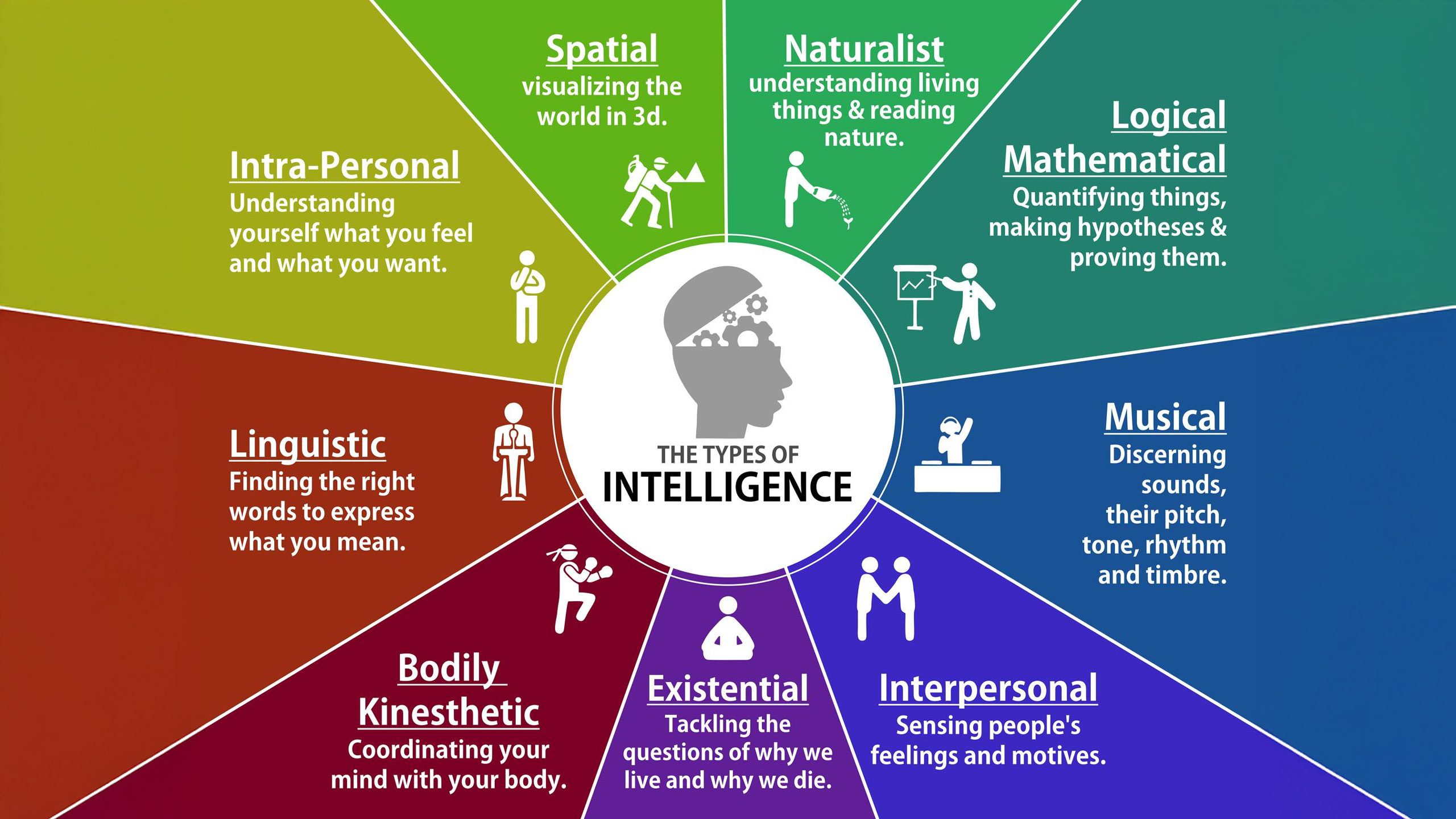 Ninth Type of Intelligence