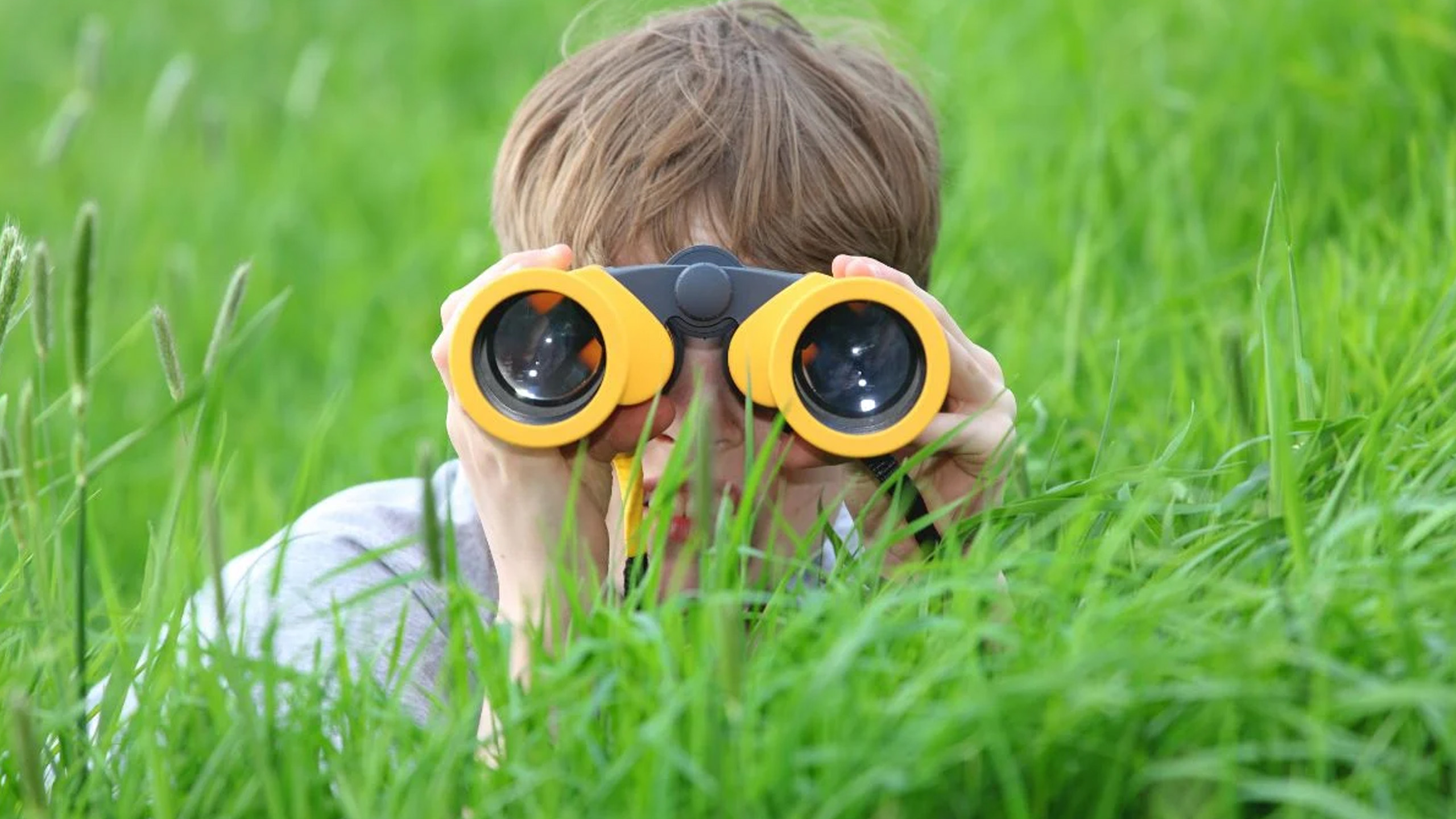 Searching for Happiness in the Wrong Place