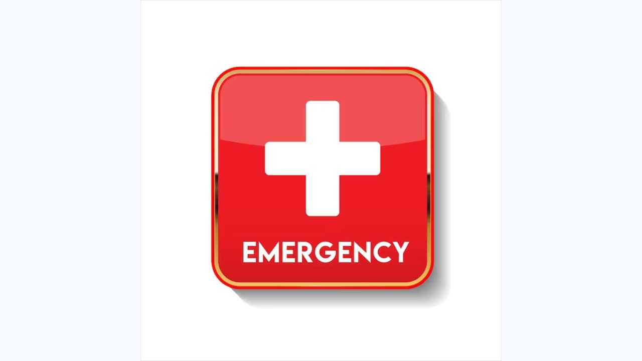 Pin - EMT Logo - Emergency Medical Technician (1-1/2