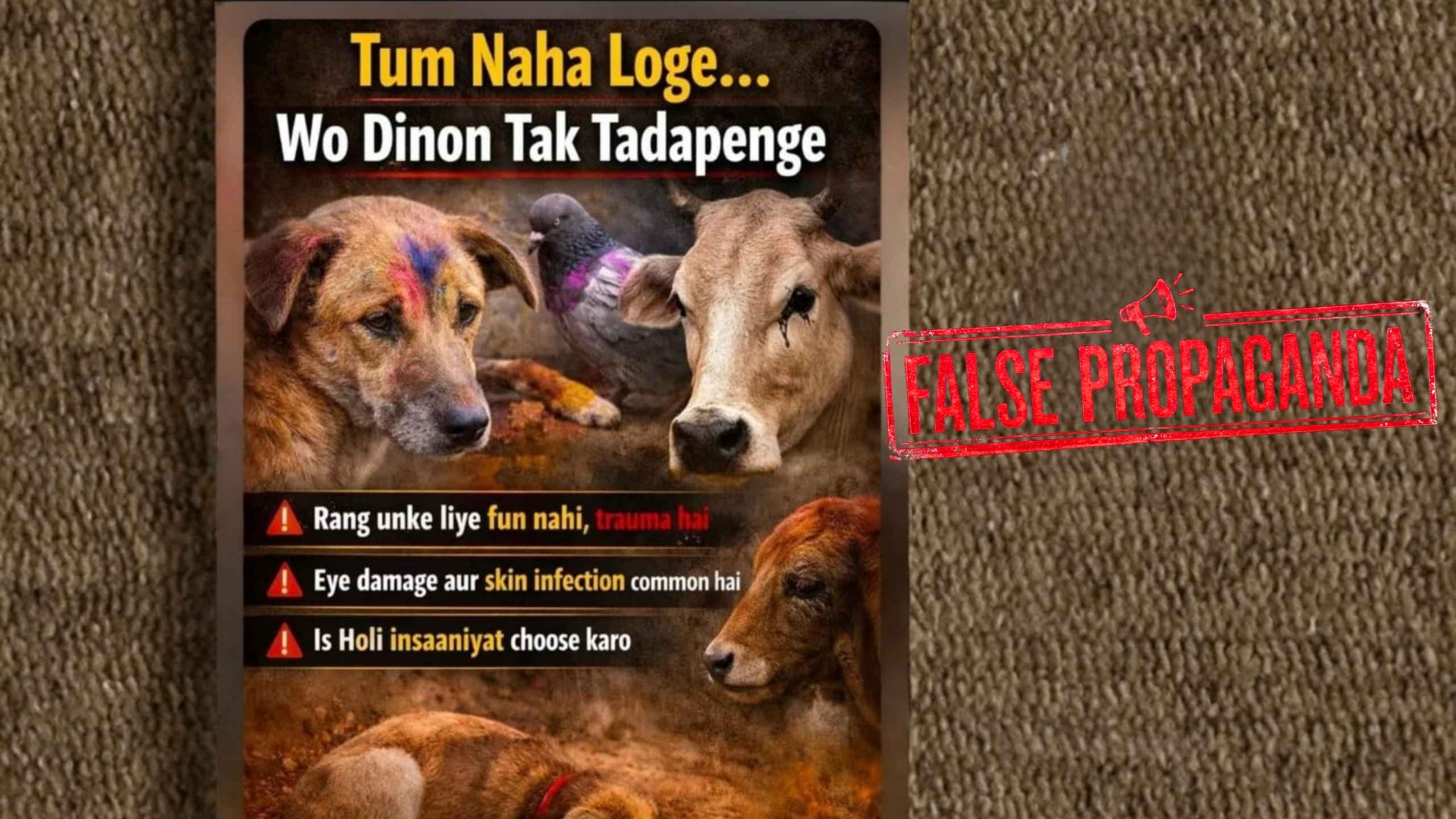 Holi and Animal Cruelty: Understanding the Reality