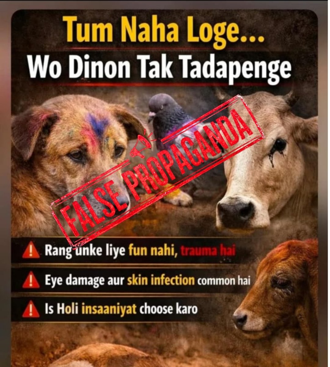 Holi and Animal Cruelty: Understanding the Reality