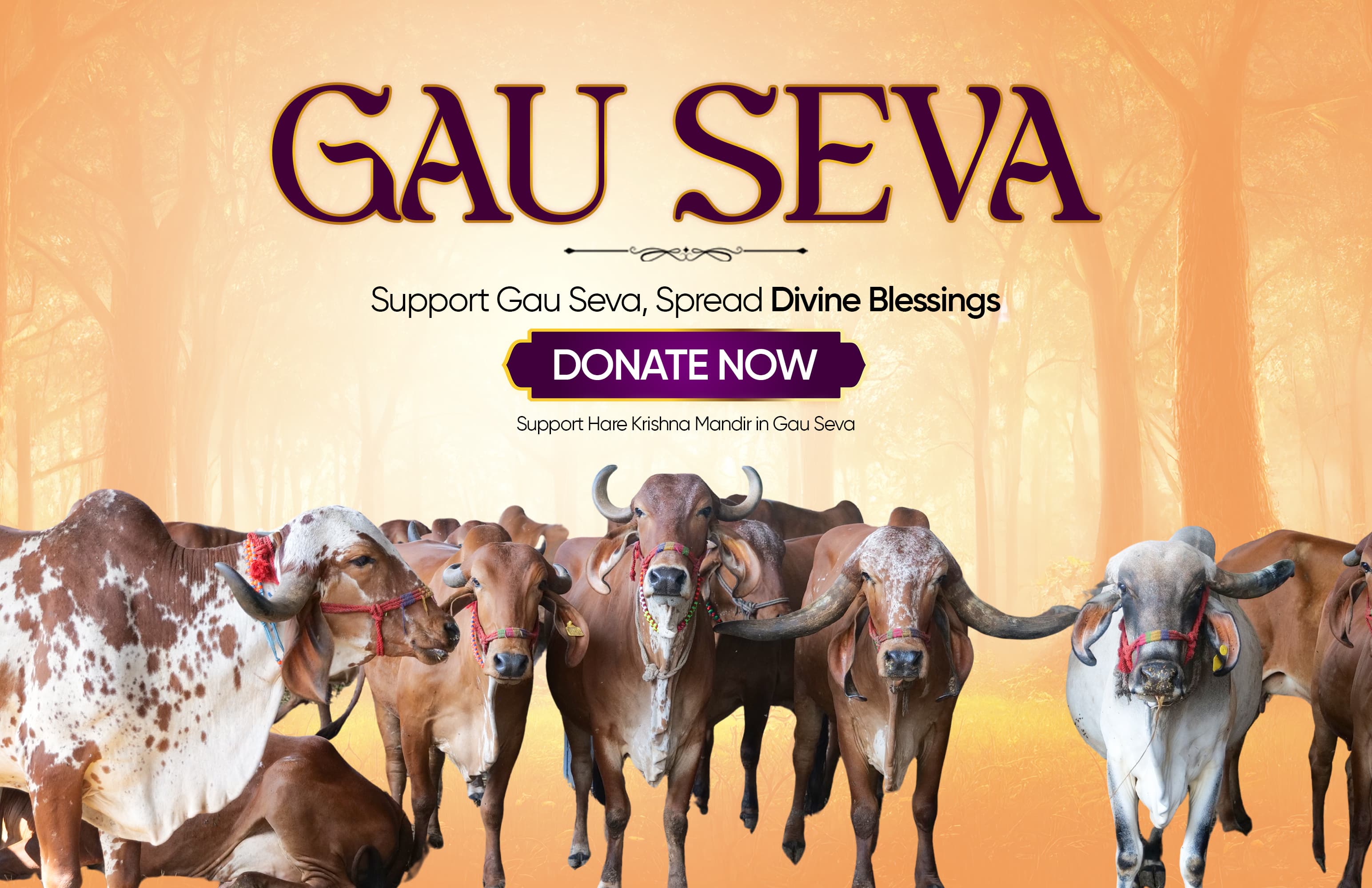 Gau Seva