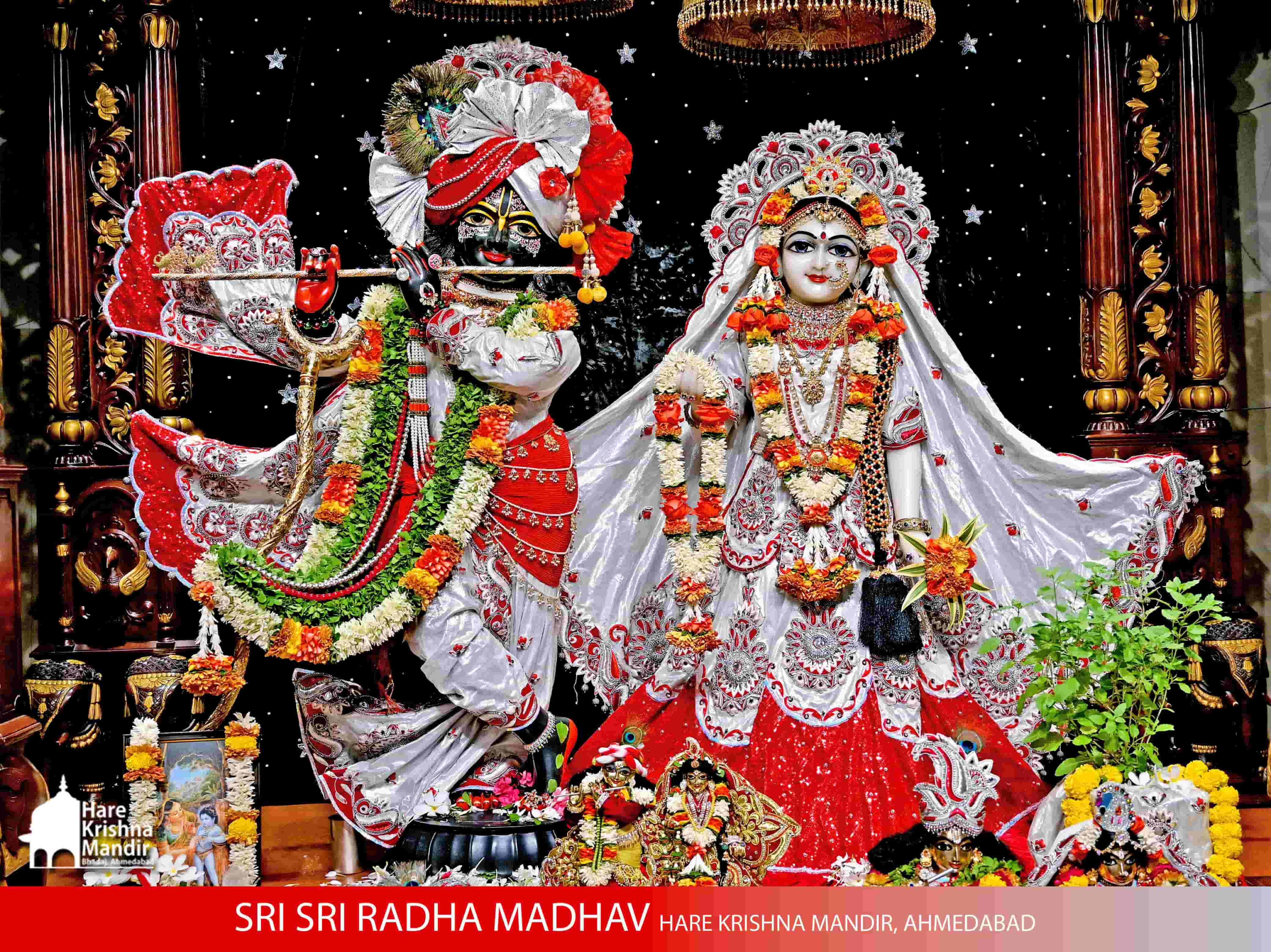 2025-10-17 Darshan