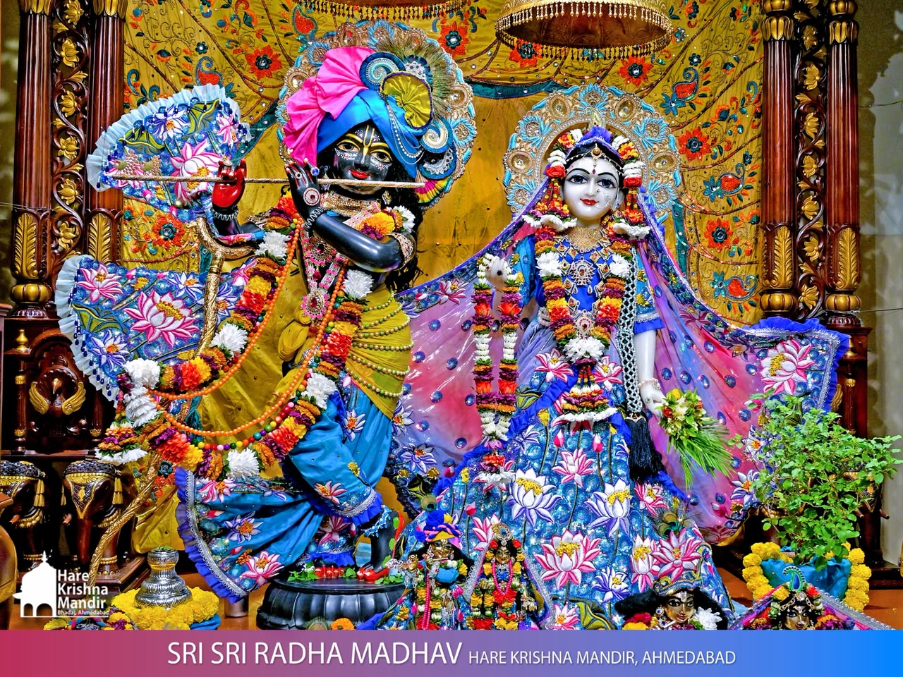 2026-07-27 Darshan