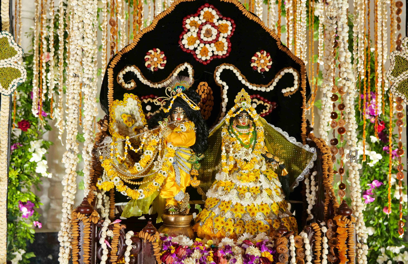 Jhulan Utsav 2026 Day 5