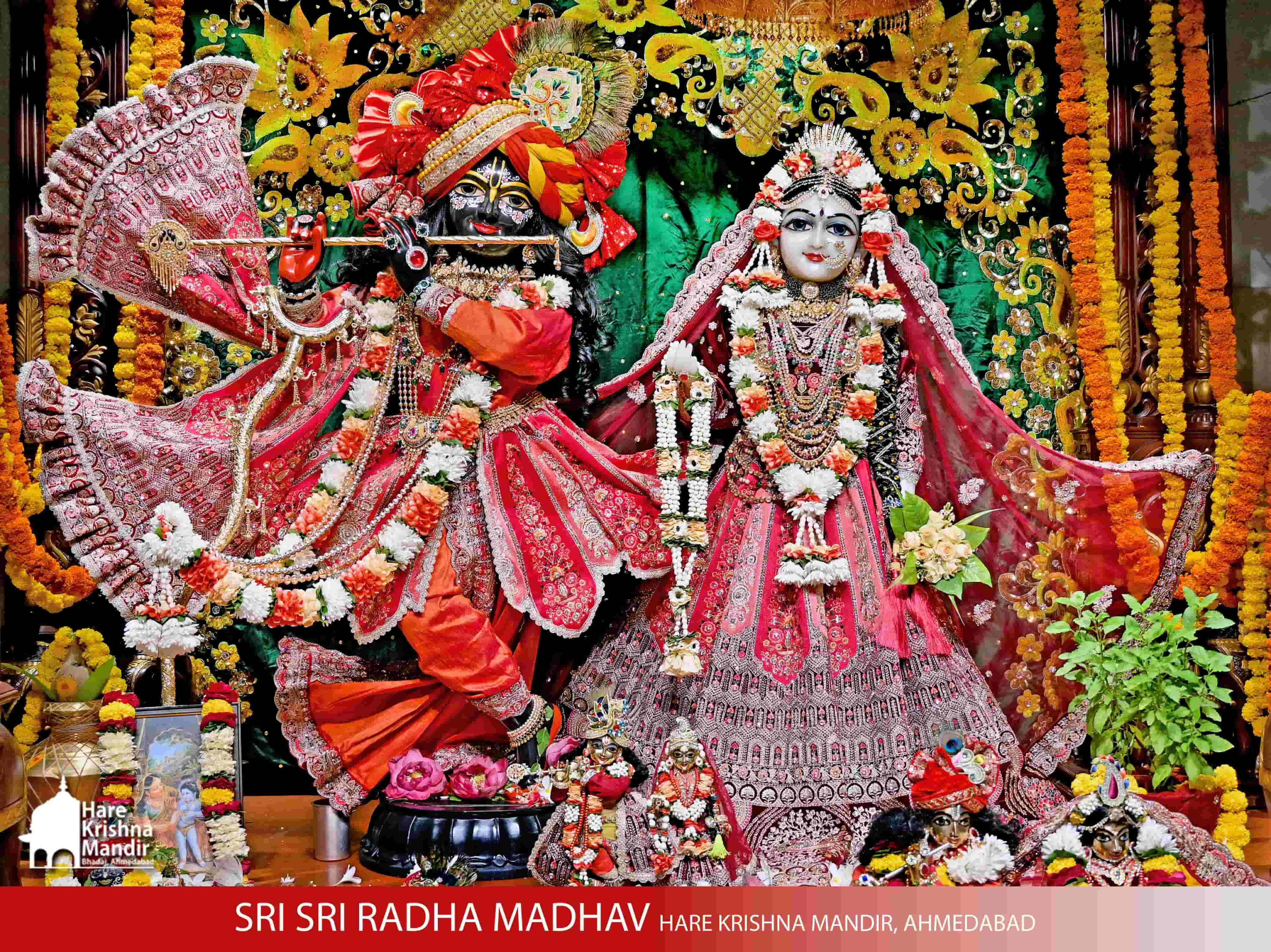 2025-10-20 Darshan
