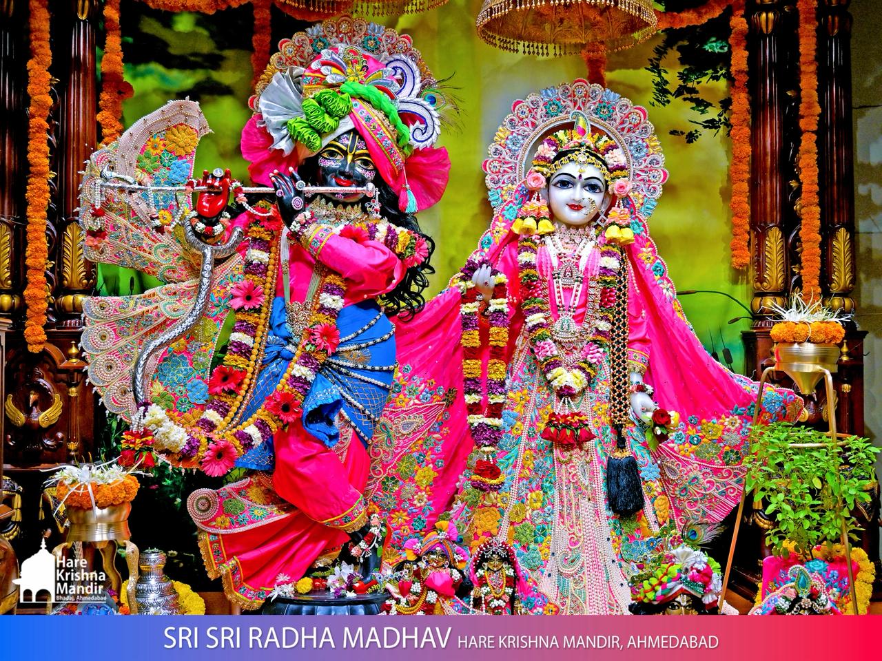 2026-05-10 Darshan