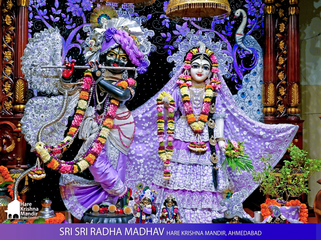 2026-08-22 Darshan