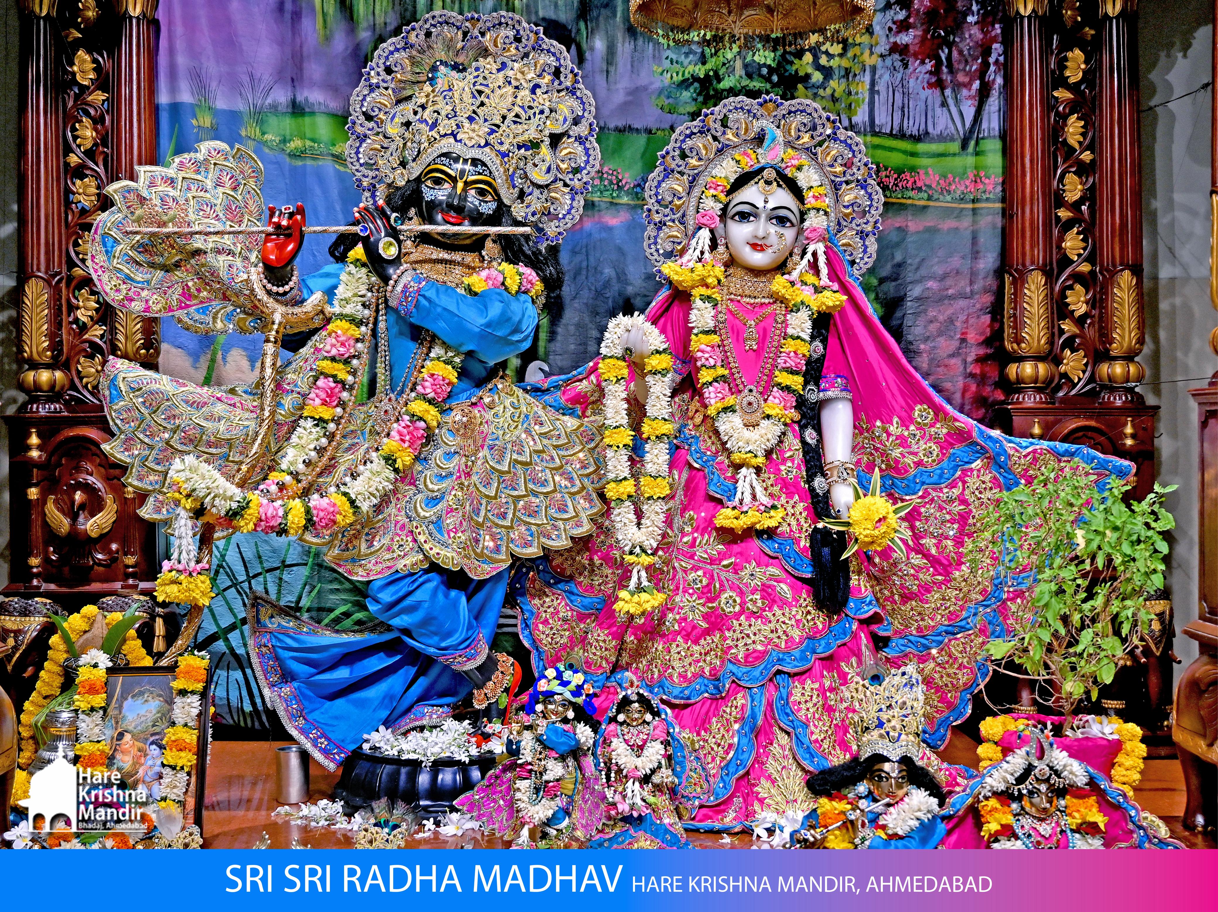 2025-10-16 Darshan