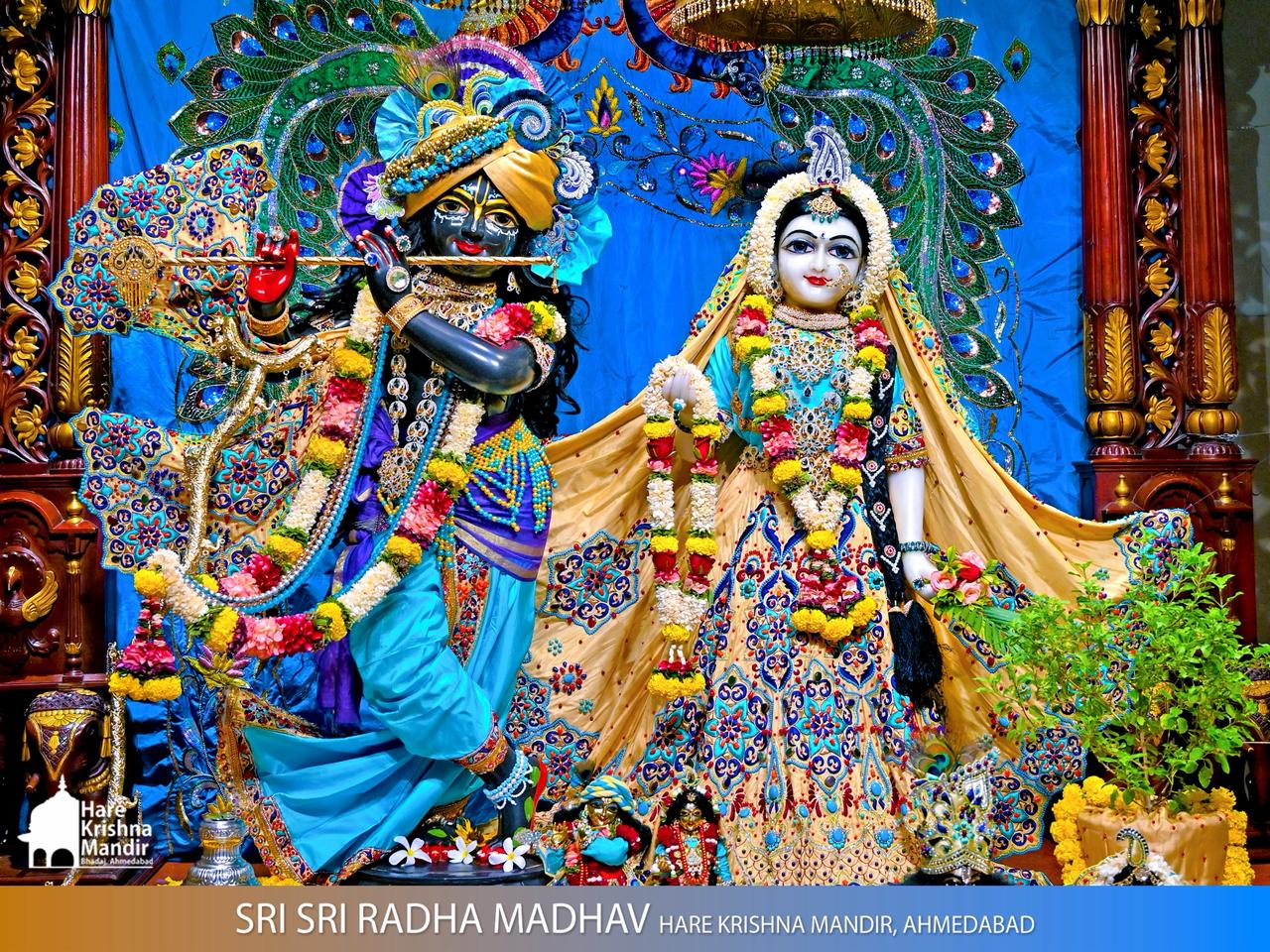 2026-07-08 Darshan