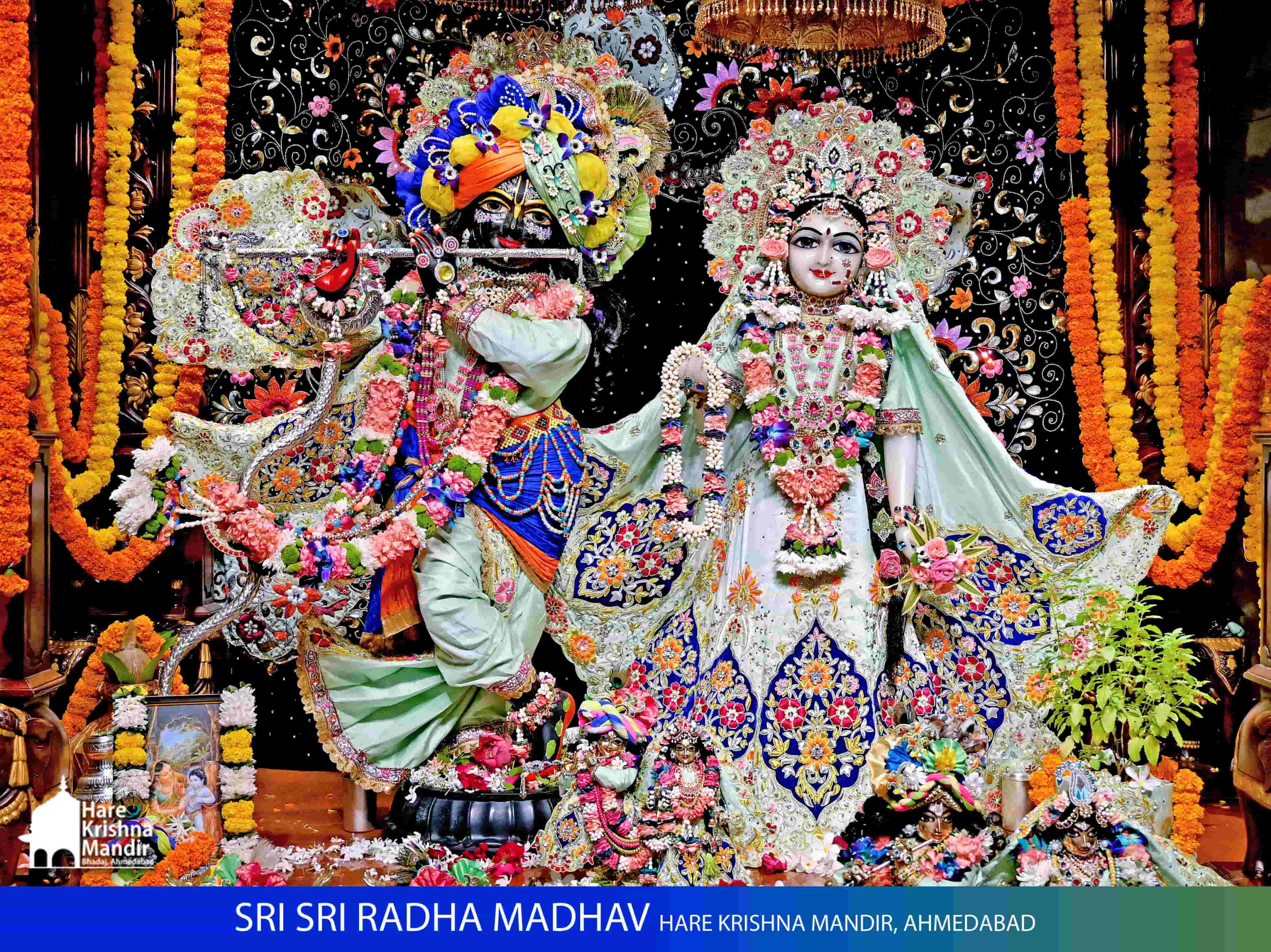 2025-10-19 Darshan