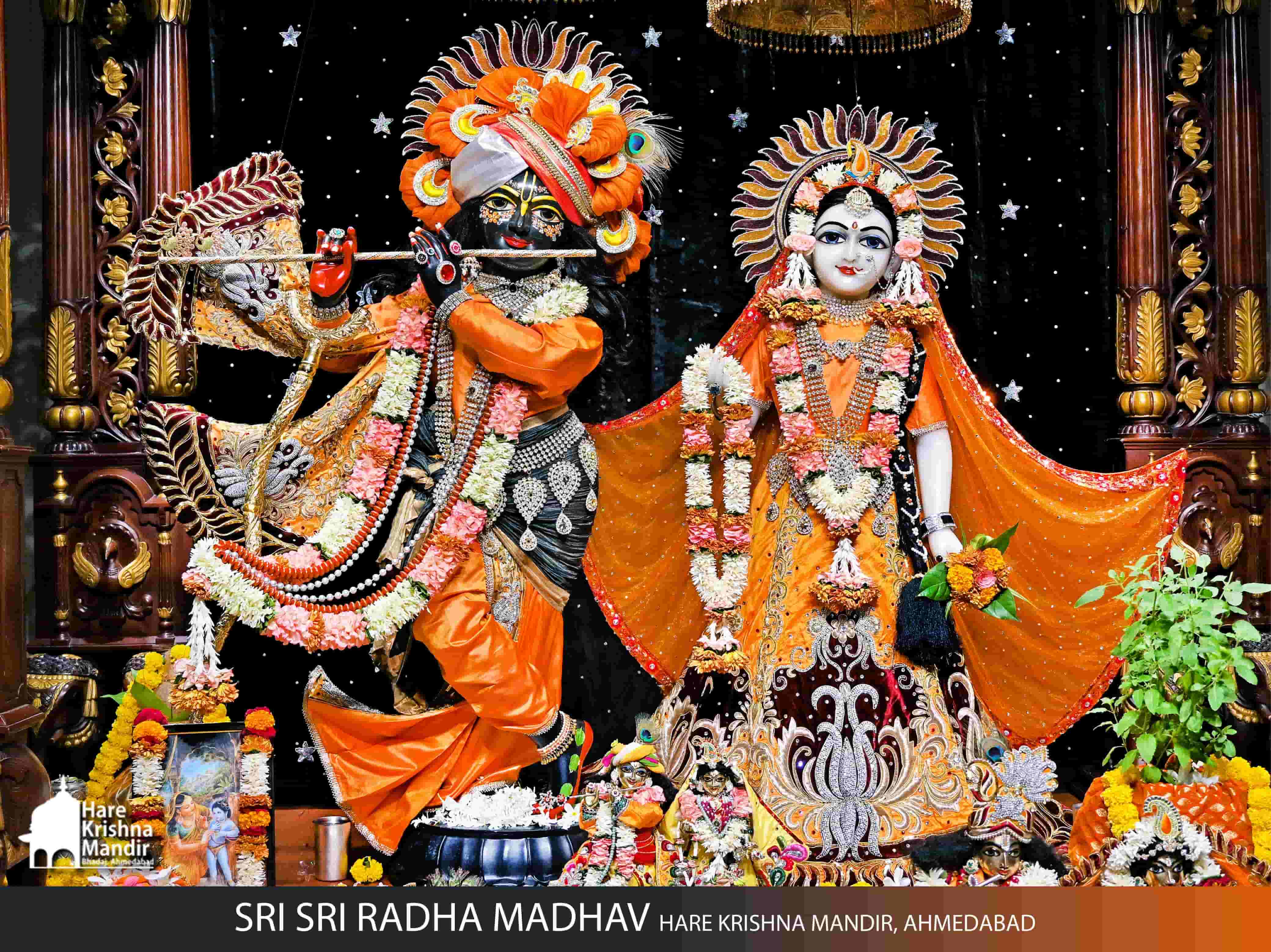 2025-10-18 Darshan