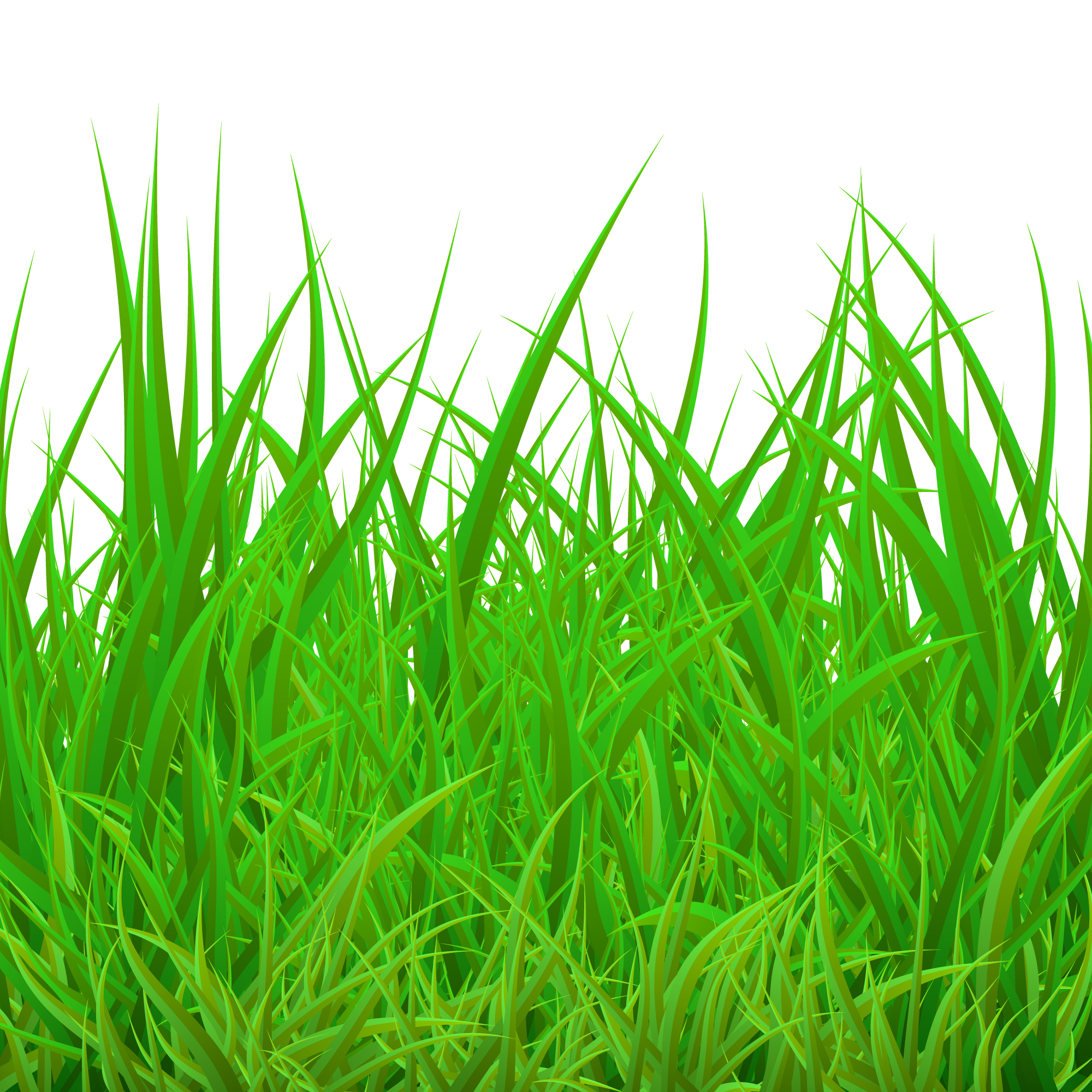 55 Kg Green Grass