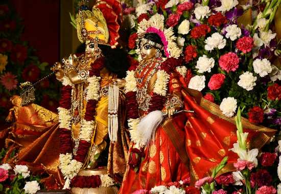 seva_image1795962.webp