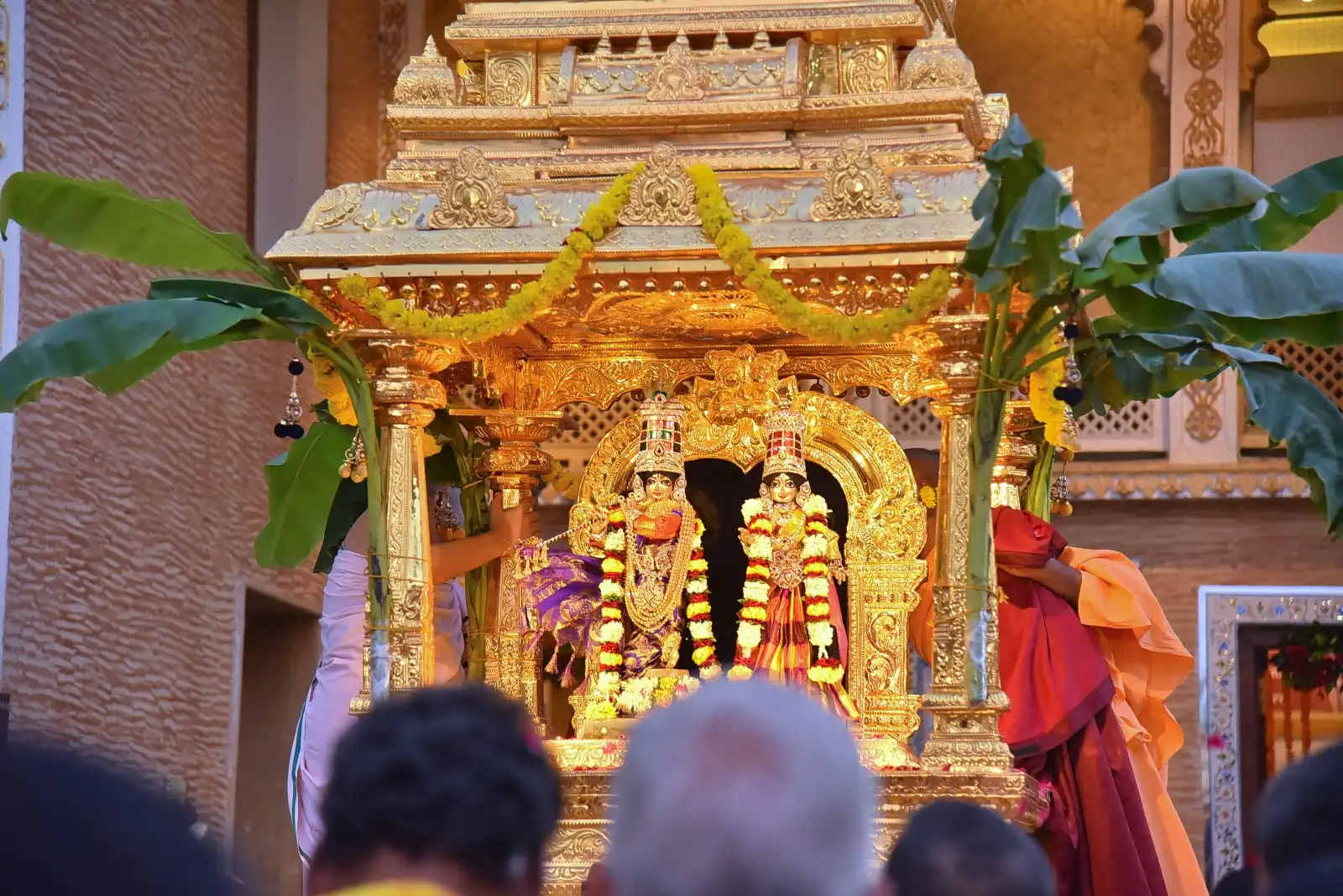 seva_image5668776.webp