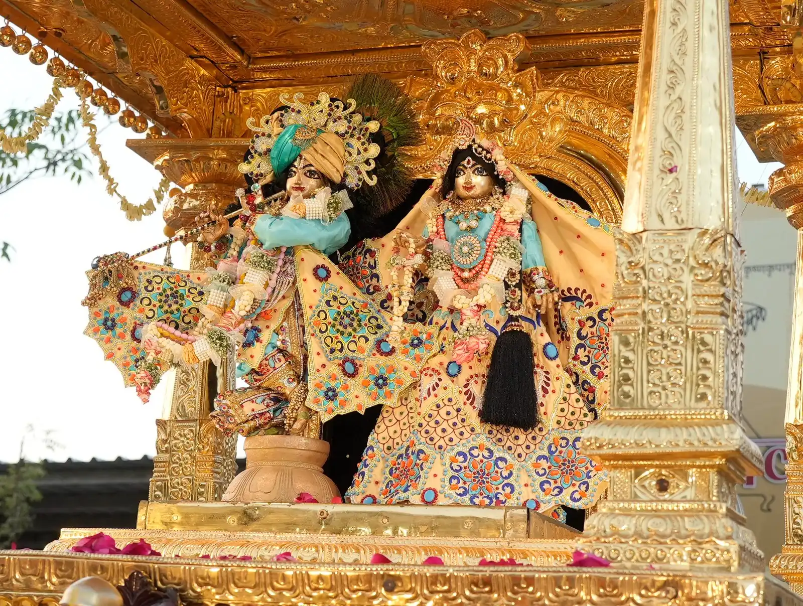 seva_image9450422.webp