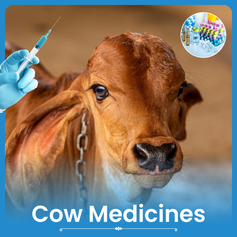 Cow Medicines