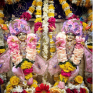 Vastra seva