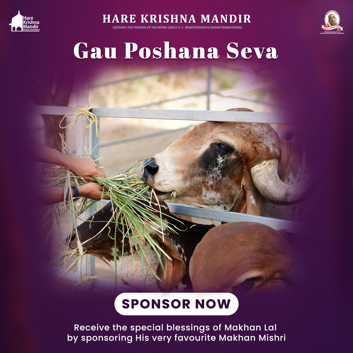 Gau Seva